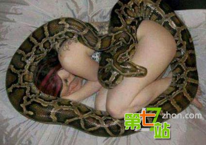蟒蛇绝食每晚缠美女睡觉 真相太吓人