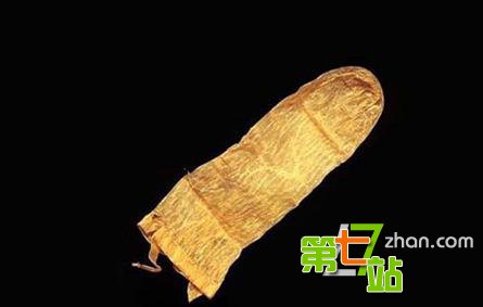 最让人匪夷所思的冷知识：袋鼠有3个阴道