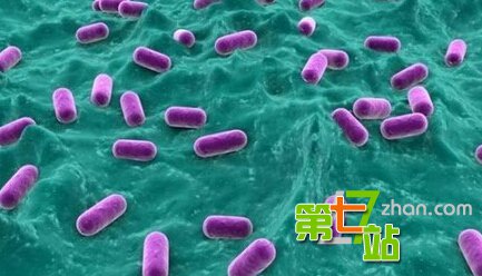 头颅被砍仍有意识？人体那些惊天真相