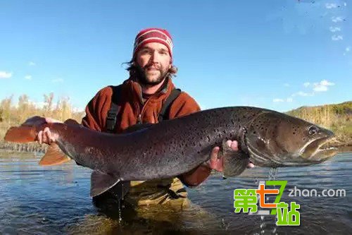中国传说中十大镇宅宝物：你家有几个