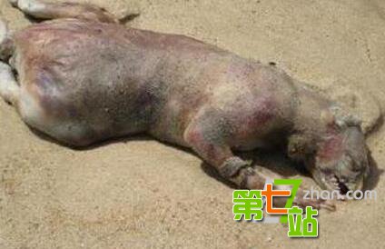 号称“中国第一鬼村”里面住着什么鬼？