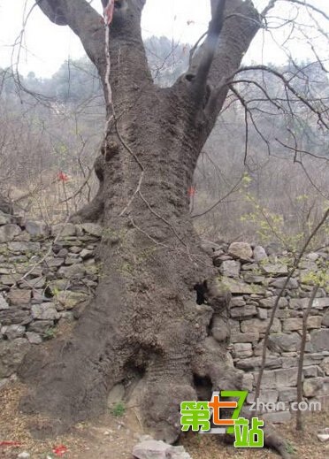号称“中国第一鬼村”里面住着什么鬼？