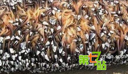 号称“中国第一鬼村”里面住着什么鬼？