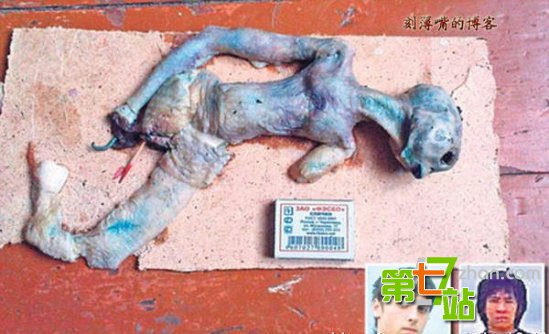 引发全球震惊的15大“怪兽”真相