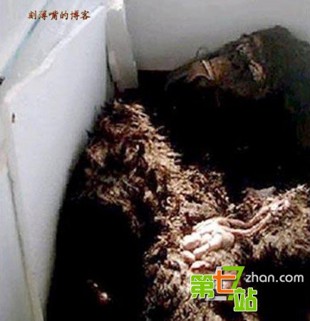 引发全球震惊的15大“怪兽”真相