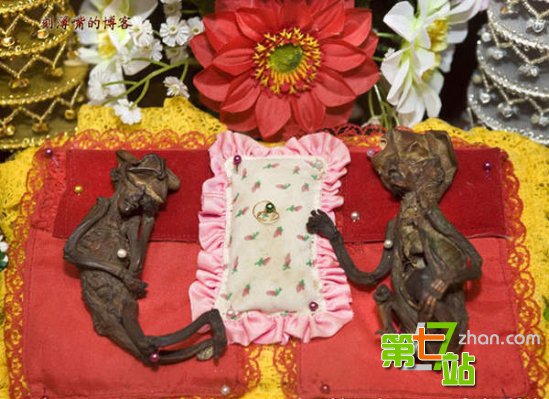 引发全球震惊的15大“怪兽”真相