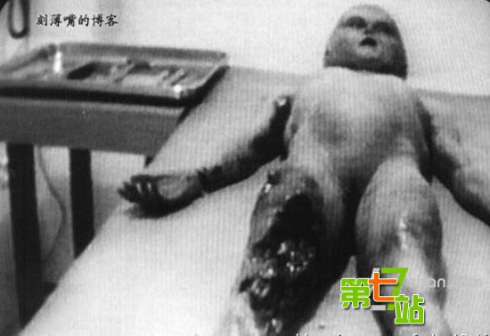 引发全球震惊的15大“怪兽”真相
