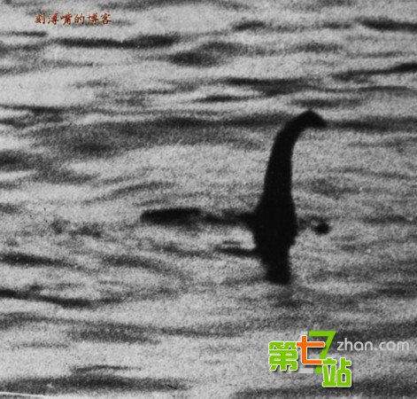 引发全球震惊的15大“怪兽”真相