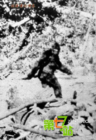 引发全球震惊的15大“怪兽”真相