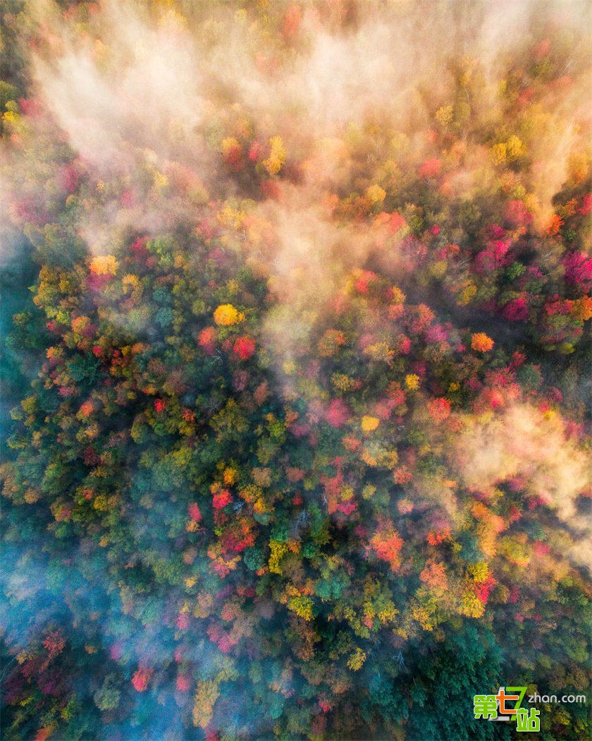 深秋里的美国东北部：色彩缤纷如油画一般