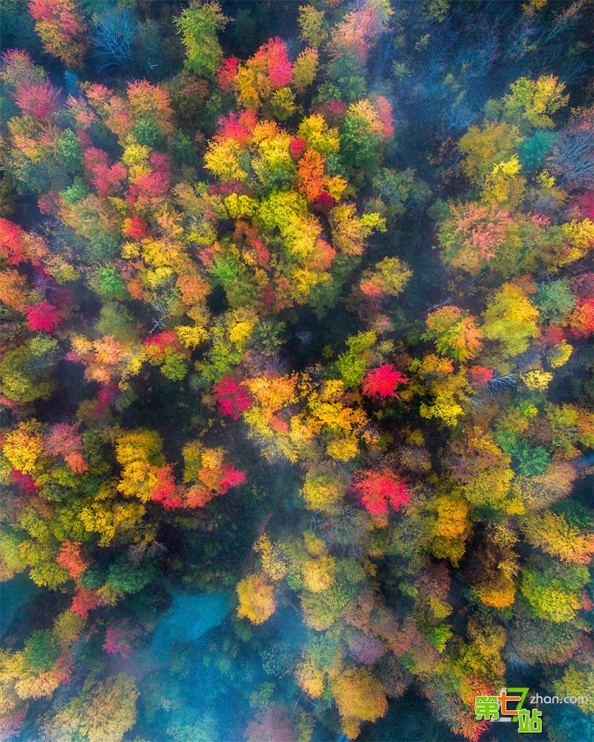 深秋里的美国东北部：色彩缤纷如油画一般