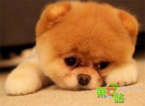 神秘女子可与动物和死人交流 你相信通灵吗