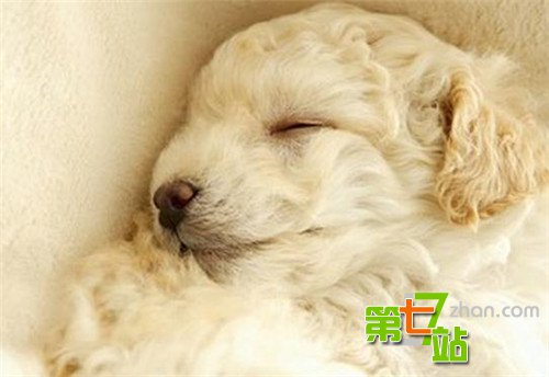 神秘女子可与动物和死人交流 你相信通灵吗