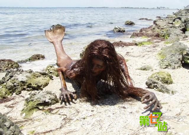 澳洲渔民发现人鱼尸体 谜样生物揭密