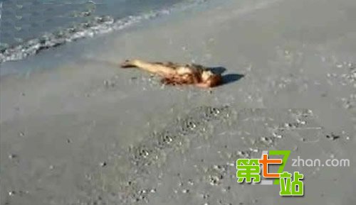 海滩惊现美人鱼尸体：面目狰狞吓坏当地人