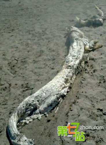 三峡龙卷风后江面惊现离奇事件