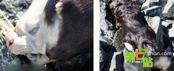 三峡龙卷风后江面惊现离奇事件