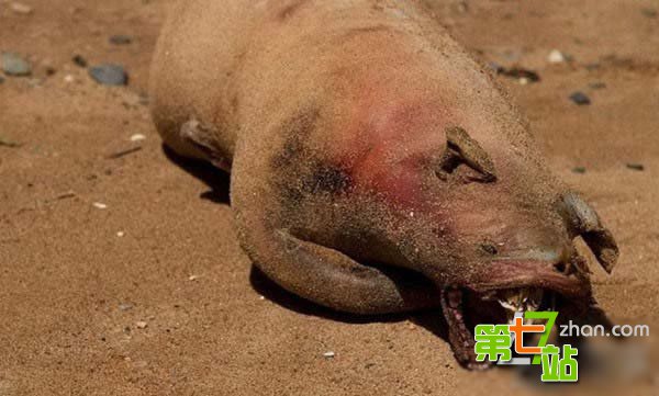 三峡龙卷风后江面惊现离奇事件