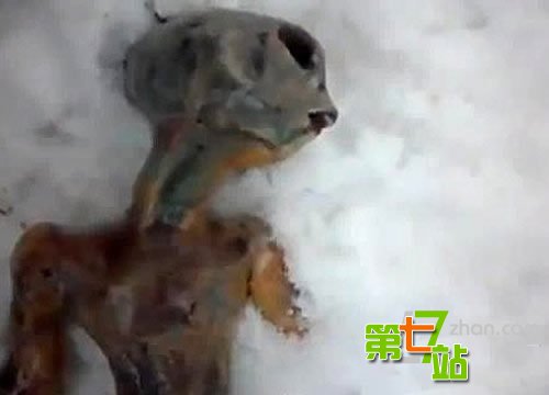 三峡龙卷风后江面惊现离奇事件
