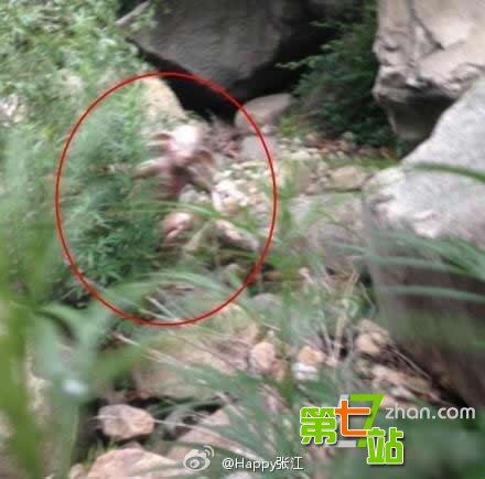 三峡龙卷风后江面惊现离奇事件