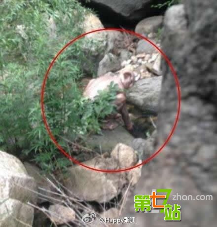 三峡龙卷风后江面惊现离奇事件