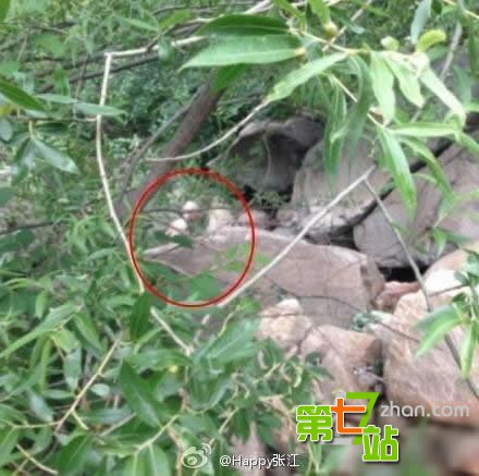 三峡龙卷风后江面惊现离奇事件