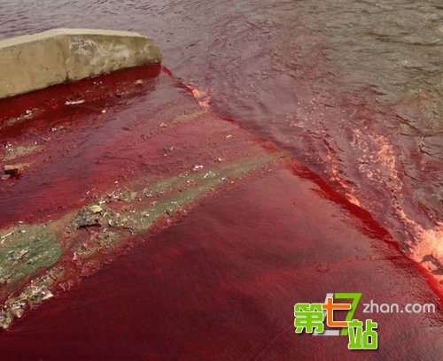 印度天降红雨 疯传的“外星生物说”成焦点