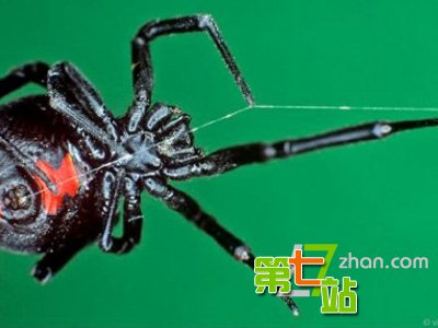 人类接吻从什么时候开始？一个吻丢出去8000万个细菌