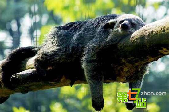 男子旅途中发现一枚恐龙蛋 真相太骇人