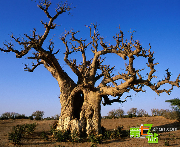 世界各地最疯狂的16个迷信习俗：你知道吗