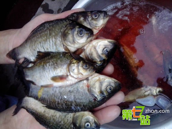 灾难来临神秘怪象！地震前后惊现骇人一幕