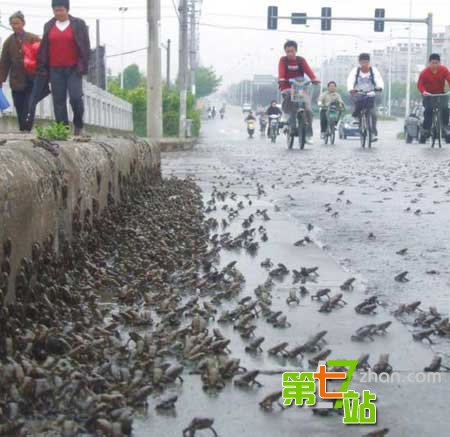 灾难来临神秘怪象！地震前后惊现骇人一幕