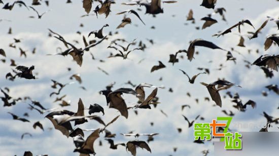灾难来临神秘怪象！地震前后惊现骇人一幕