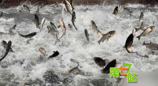 灾难来临神秘怪象！地震前后惊现骇人一幕