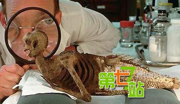 记录,事件