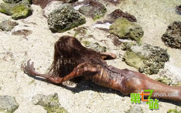 海滩惊现美人鱼尸体：面目狰狞吓坏当地人