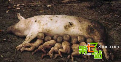 十大离奇事件：少妇被水怪侵犯