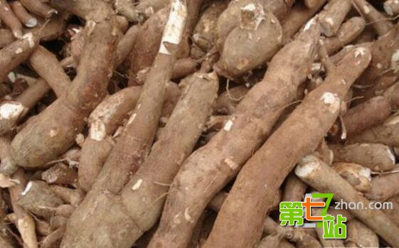 当心这10种菜比砒霜还毒：大家千万不要吃