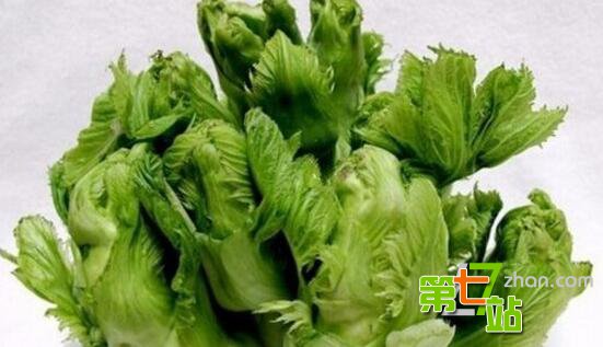 当心这10种菜比砒霜还毒：大家千万不要吃