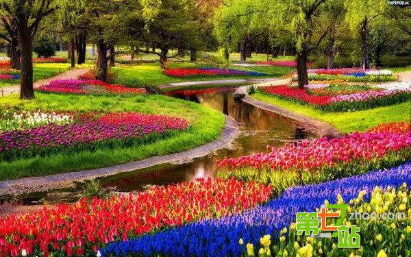 爱花成痴的英国老人花了25年打造梦境花园
