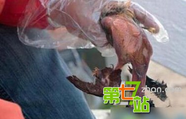 世界十大“臭味”美食：你能忍受到第几？