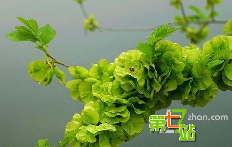农村80、90孩子的童年：满满的都是回忆