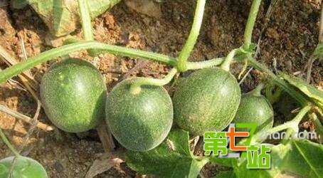 农村80、90孩子的童年：满满的都是回忆