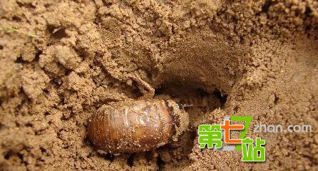 农村80、90孩子的童年：满满的都是回忆