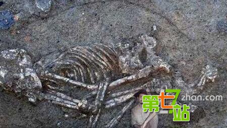 人类史前文明揭秘 巨人骨骸竟是外星人化石