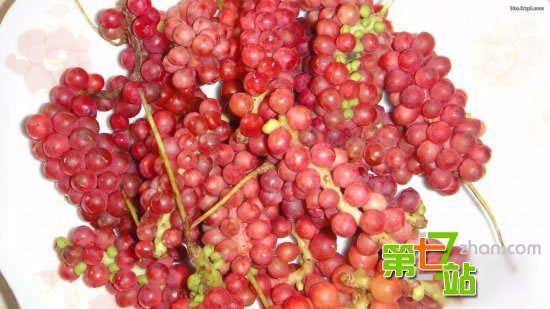 农村小时候吃的十大野果 有钱也买不到