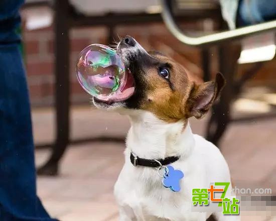 笑喷 百年难得一见的24个惊人巧合