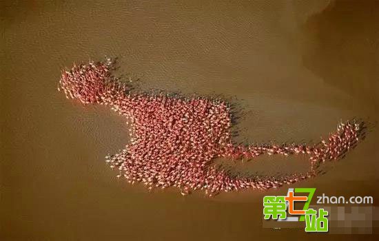 笑喷 百年难得一见的24个惊人巧合
