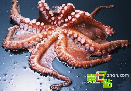 让人难以接受的奇葩食物 你敢不敢尝试？