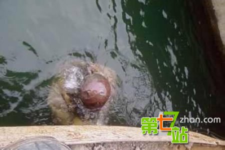鬼究竟长什么样？揭古代传说中的各种鬼